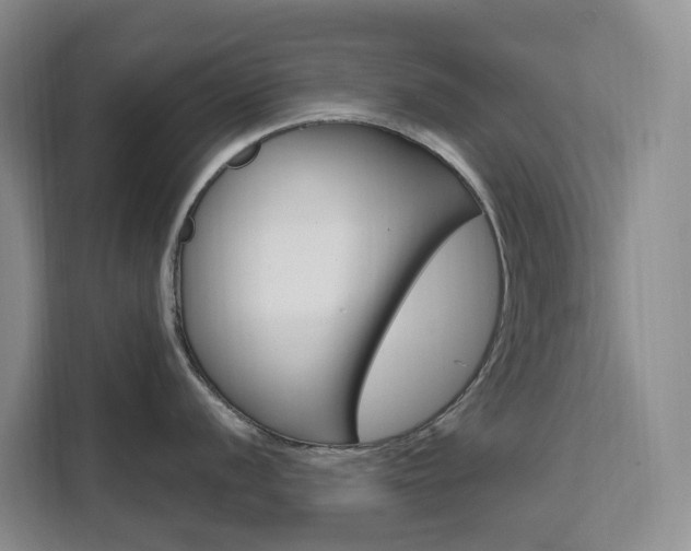 X0000111511056200907141100