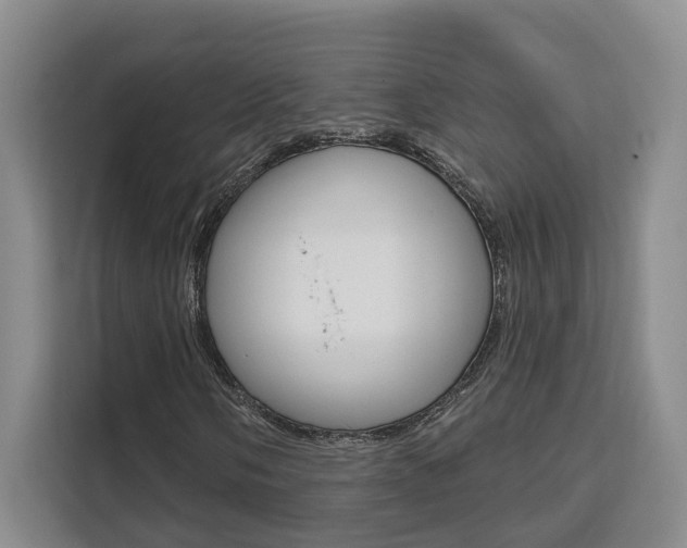 X0000111511058200907141059