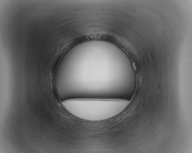 X0000111511060200907141059