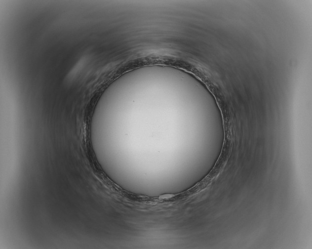X0000111511061200907141059