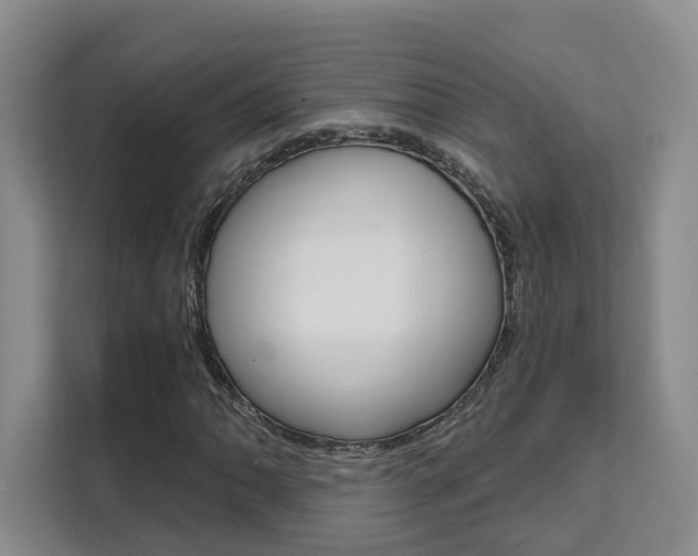 X0000111511062200907141059