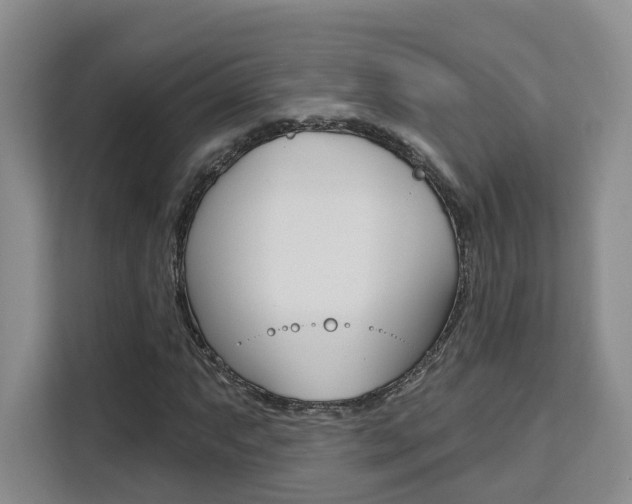 X0000111511063200907141059