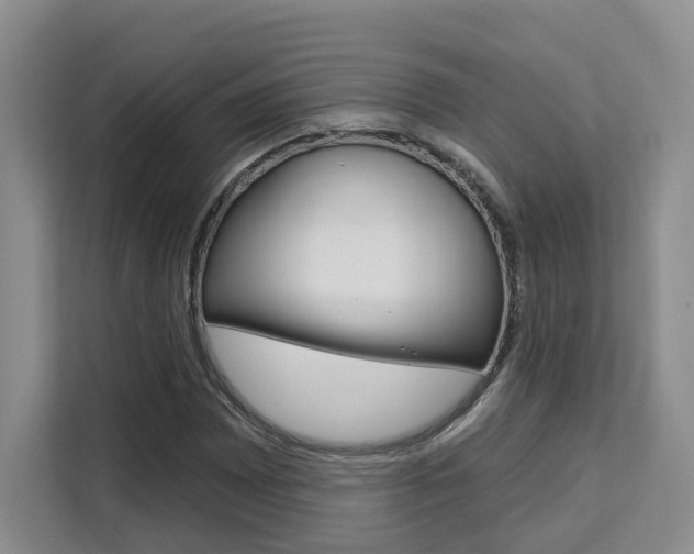 X0000111511065200907141059