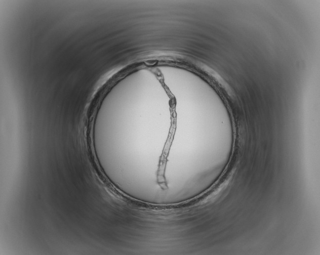 X0000111511066200907141059
