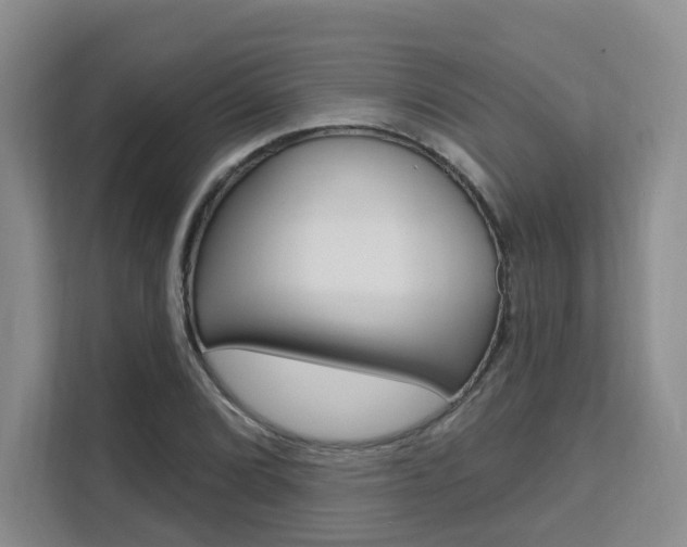X0000111511072200907141059