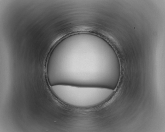 X0000111511073200907141059