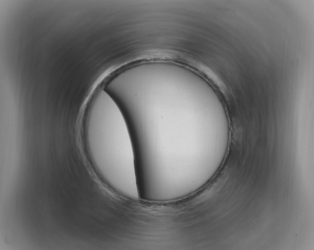 X0000111511075200907141059