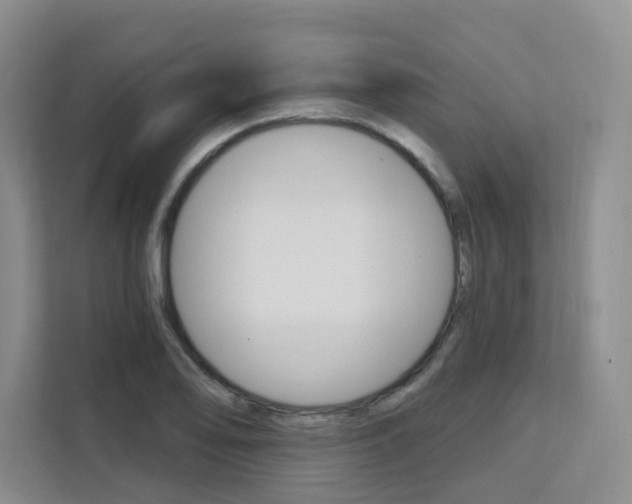 X0000111511078200907141059