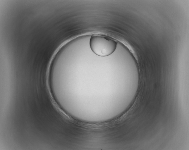 X0000111511080200907141059