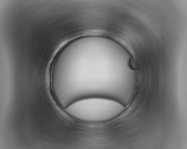X0000111511083200907141059