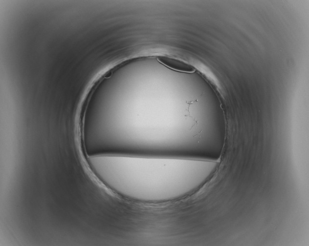 X0000111511088200907141059