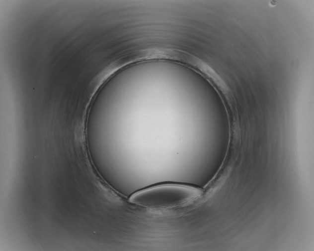 X0000111511089200907141059