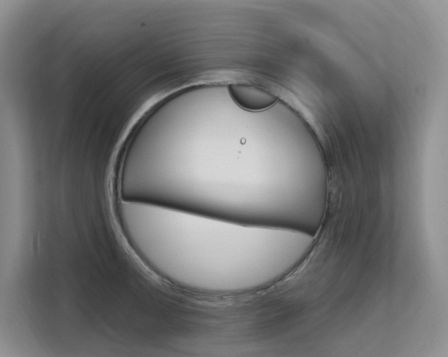 X0000111511091200907141059