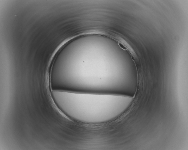 X0000111511092200907141059