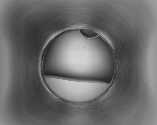 X0000111511093200907141059