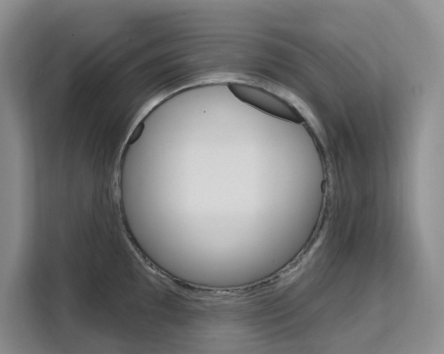 X0000111511097200907141059