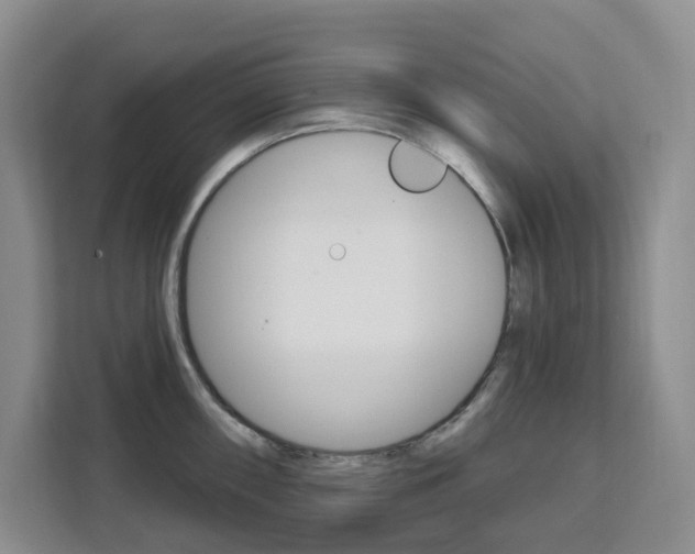 X0000111511098200907141059