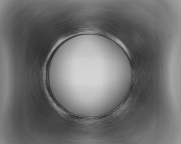X0000111511099200907141059