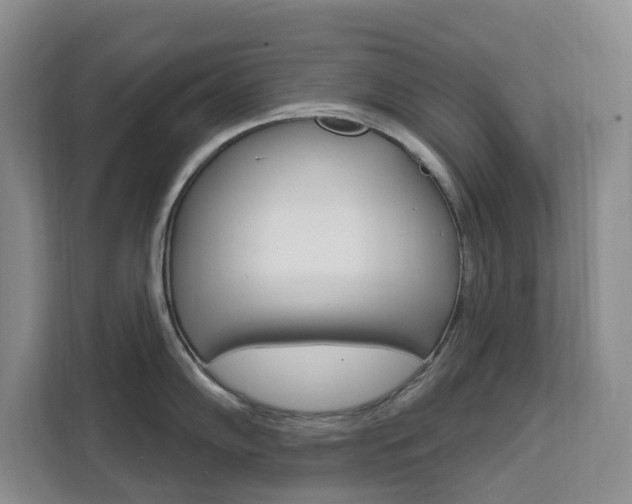X0000111511102200907141059
