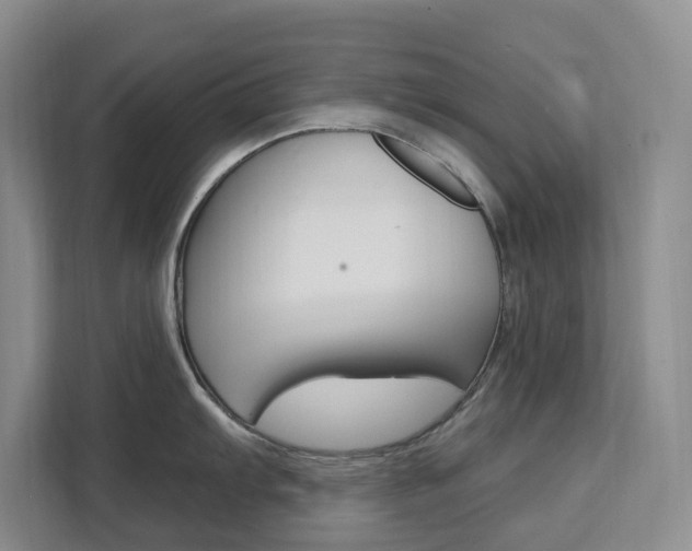 X0000111511103200907141059