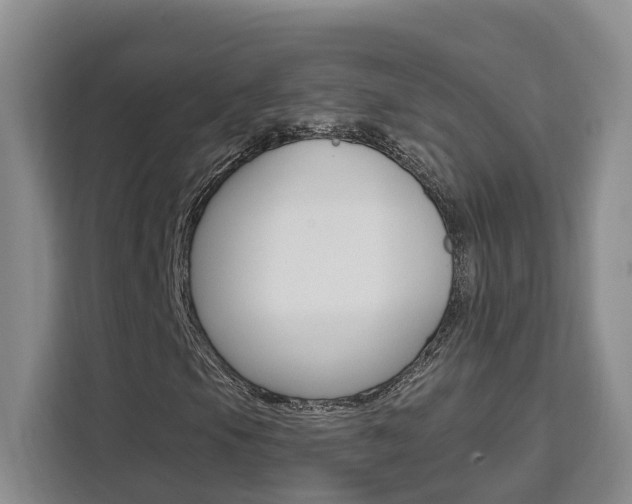 X0000111511105200907141058