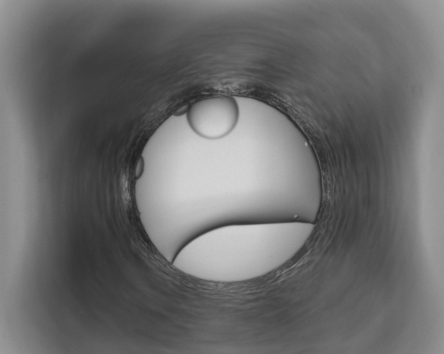 X0000111511106200907141058