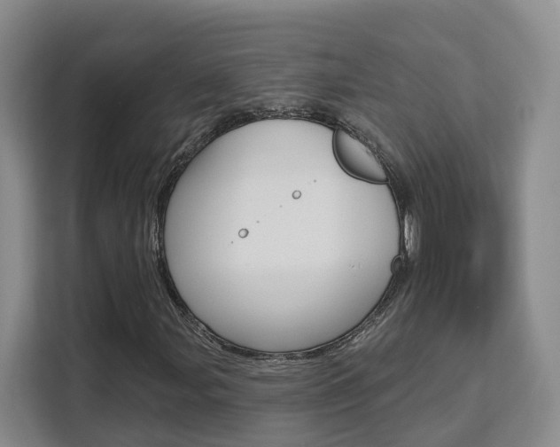 X0000111511107200907141058
