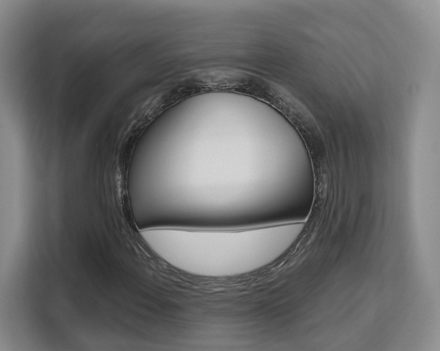 X0000111511108200907141058