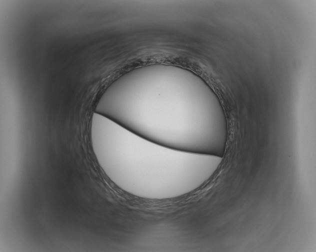 X0000111511109200907141058