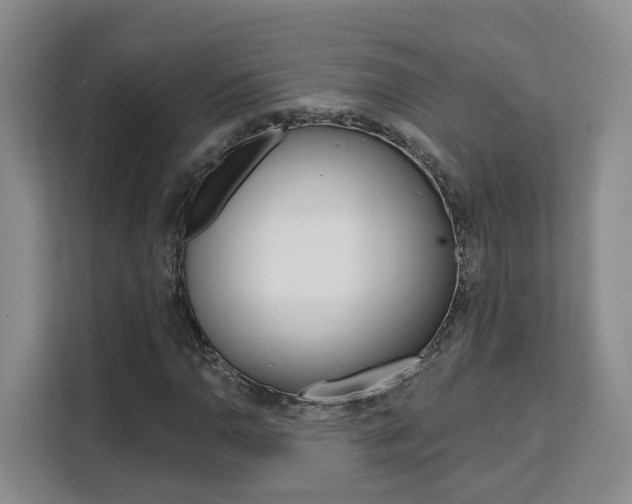 X0000111511110200907141058