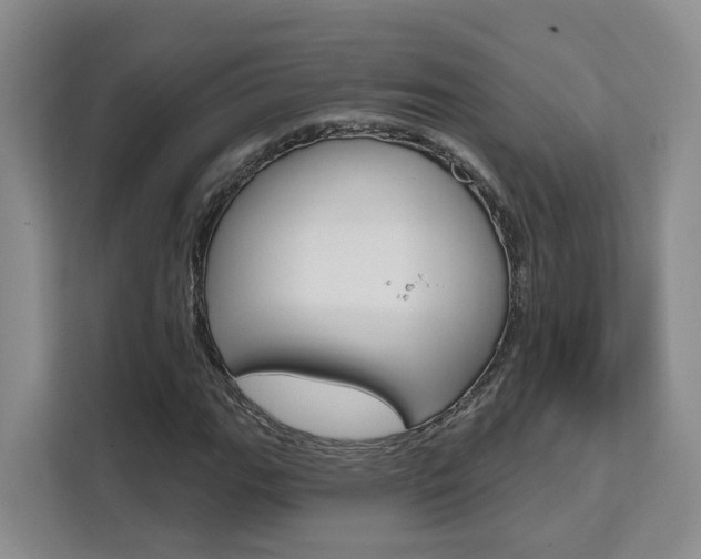 X0000111511111200907141058