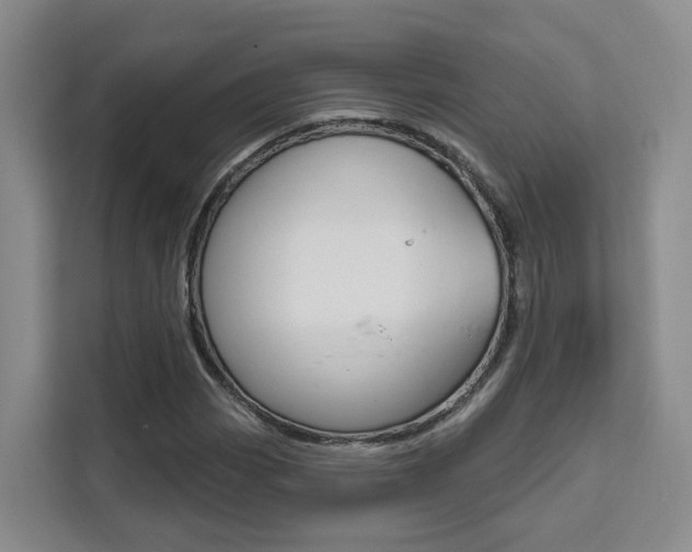 X0000111511113200907141058