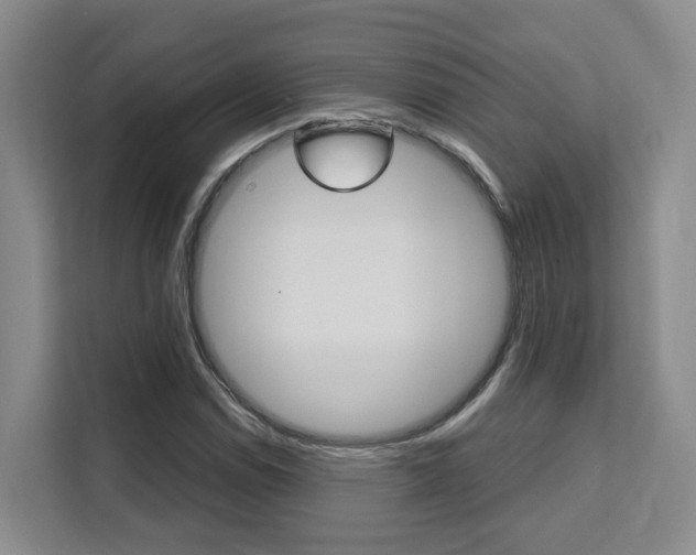 X0000111511114200907141058
