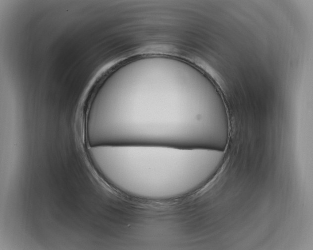 X0000111511123200907141058