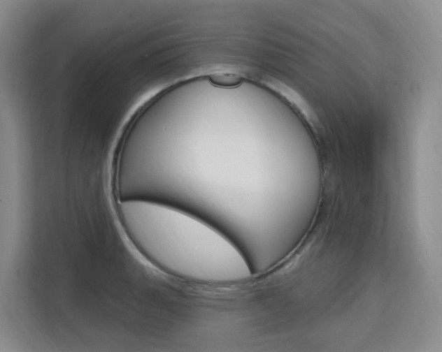 X0000111511135200907141058