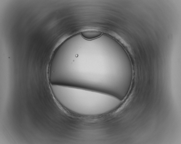 X0000111511137200907141058