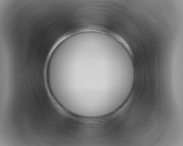 X0000111511138200907141058