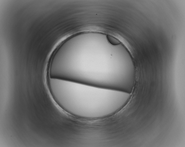 X0000111511139200907141059