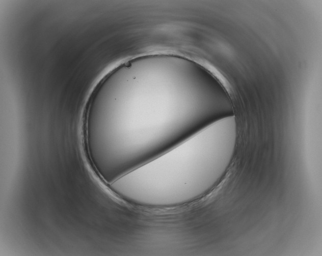 X0000111511142200907141059