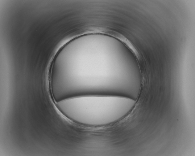 X0000111511143200907141059
