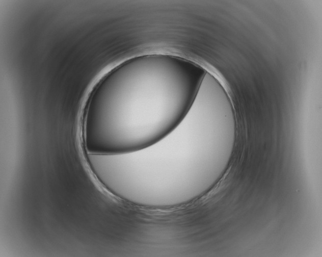 X0000111511144200907141059