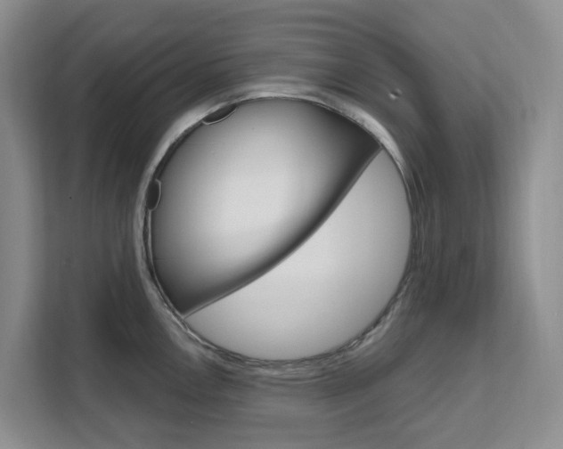 X0000111511146200907141059