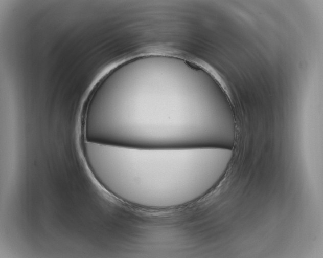 X0000111511147200907141059