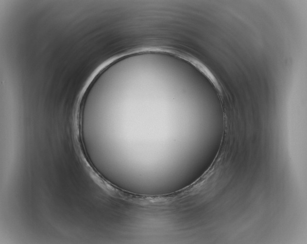 X0000111511148200907141059