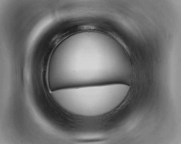 X0000111511151200907141059