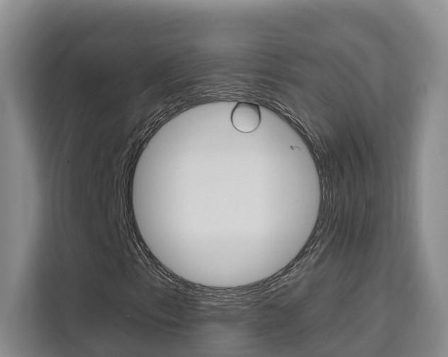 X0000111511153200907141058