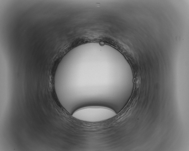 X0000111511156200907141058