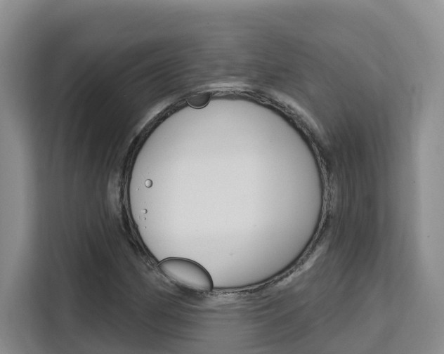 X0000111511162200907141058