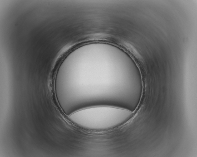 X0000111511164200907141058