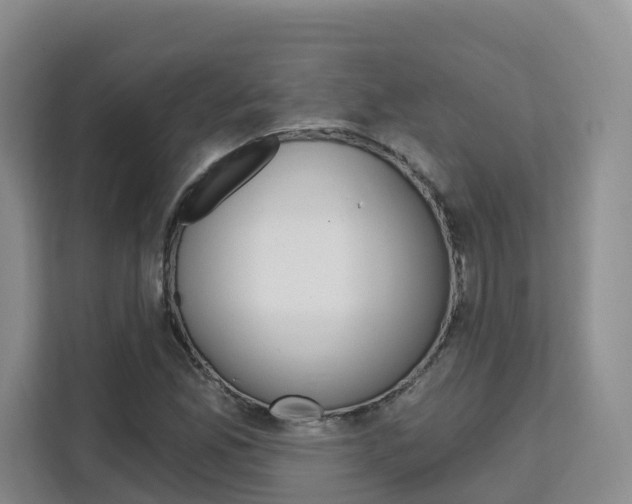 X0000111511165200907141058